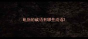 龟指的成语有哪些成语