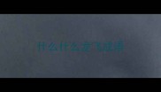什么什么龙飞成语