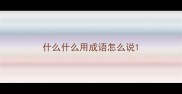 什么什么用成语怎么说