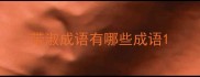 带淑成语有哪些成语