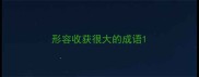 形容收获很大的成语