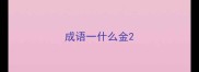 成语一什么金