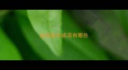成语是非成语有哪些
