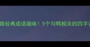 鸭子走路经典成语趣味5个与鸭相关的四字词语全