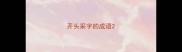 开头采字的成语