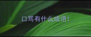 口骂有什么成语