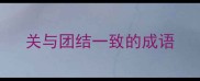 关与团结一致的成语
