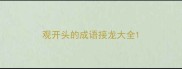 观开头的成语接龙大全
