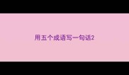 用五个成语写一句话