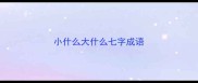 小什么大什么七字成语