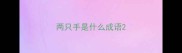 两只手是什么成语