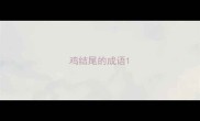 鸡结尾的成语