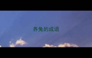 养兔的成语
