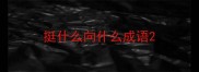 挺什么向什么成语