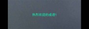 热烈欢迎的成语