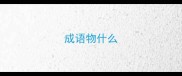 成语物什么