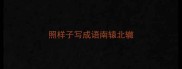 照样子写成语南辕北辙