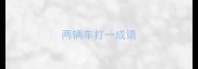 两辆车打一成语