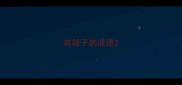 有箱子的成语