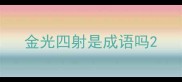 金光四射是成语吗
