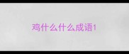 鸡什么什么成语