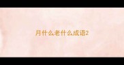 月什么老什么成语