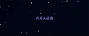 兴开头成语
