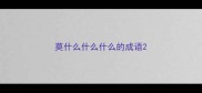 莫什么什么什么的成语