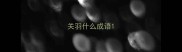 关羽什么成语