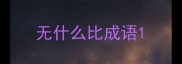 无什么比成语