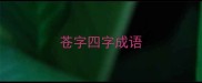 苍字四字成语
