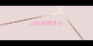 成语聚精什么