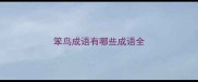 笨鸟成语有哪些成语全