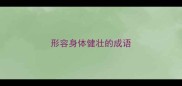 形容身体健壮的成语