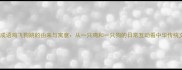 动物成语鸡飞狗跳的由来与寓意从一只鸡和一只狗的日常互动看中华传统文化