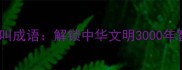 你的名字叫成语解锁中华文明3000年智慧密码