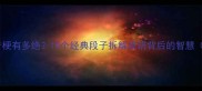 相声里的谐音梗有多绝10个经典段子拆解成语背后的智慧附学习攻略