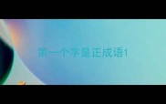 第一个字是正成语