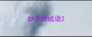妙字的成语