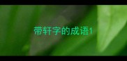 带轩字的成语
