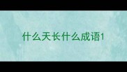 什么天长什么成语