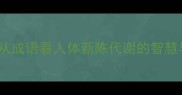 推陈出新从成语看人体新陈代谢的智慧与养生之道