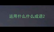 运用什么什么成语