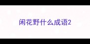 闲花野什么成语