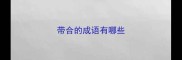 带合的成语有哪些