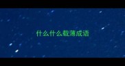 什么什么载薄成语