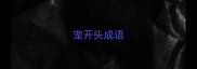 宠开头成语