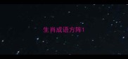生肖成语方阵