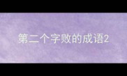 第二个字败的成语