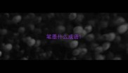 笔墨什么成语